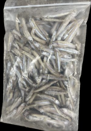 Silver Sides 1 lb